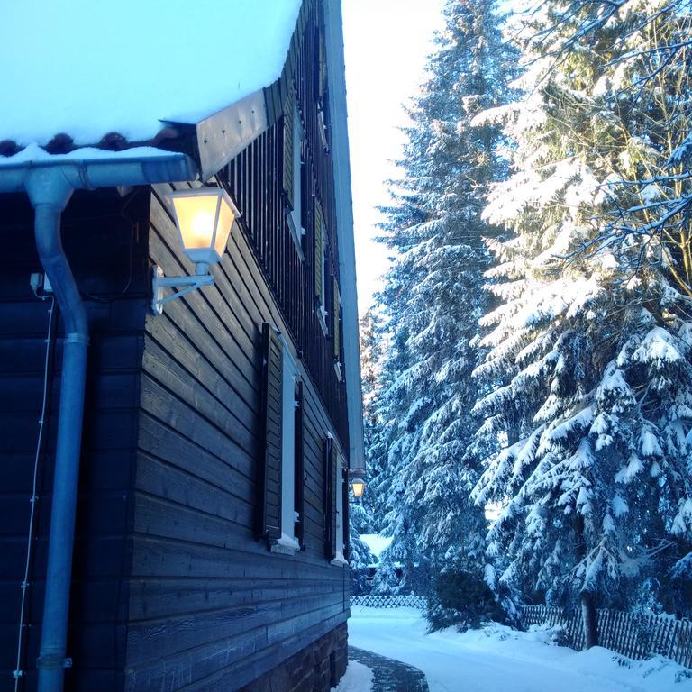 The Cabin - Harz National Park Hotel Sankt Andreasberg Esterno foto